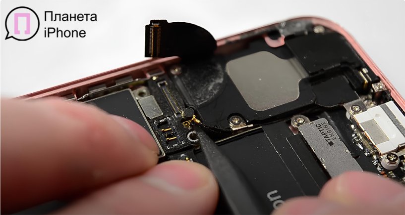 полифонический динамик | PlanetiPhone