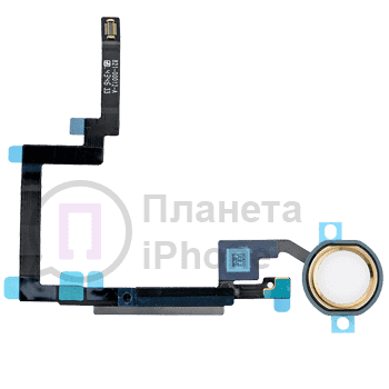 Замена кнопки Home на iPad