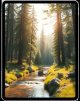 iPad Pro 12.9