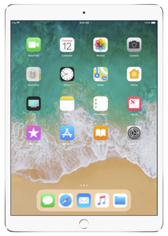 Pro 10.5 (2017 г)