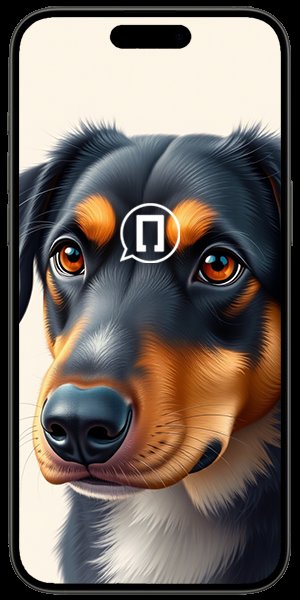 Замена стекла камеры iPhone 15 Pro