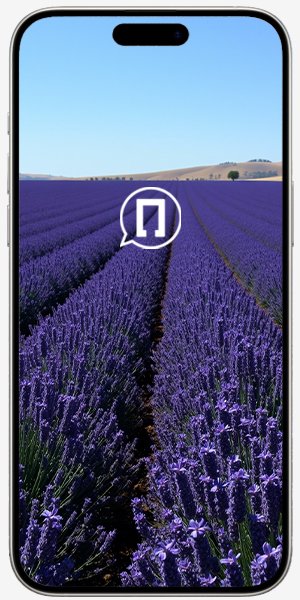 Замена стекла камеры iPhone 15 Pro Max