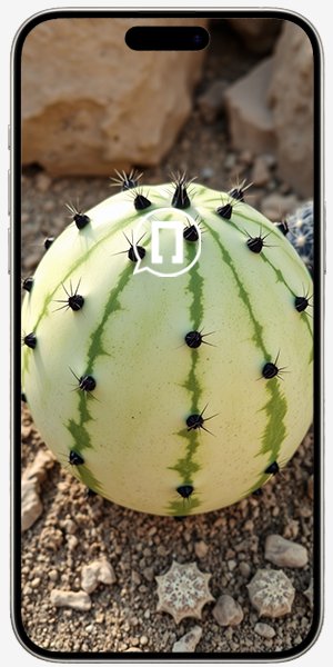 Замена корпуса (оригинал) iPhone 15 Pro Max