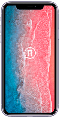 iPhone 12 Mini